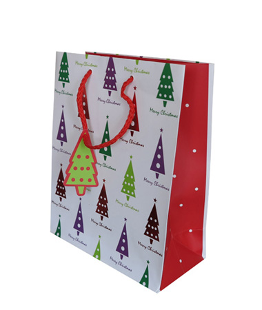 Decorated Gift Bag With Ribbon Handles
