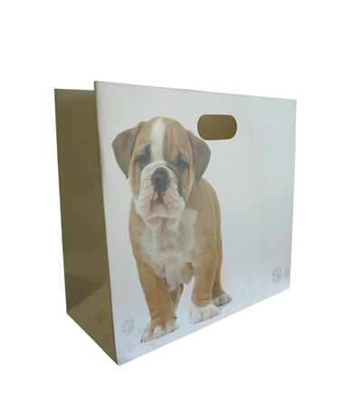 Luxury Paper Bag With Inset Carry Handles